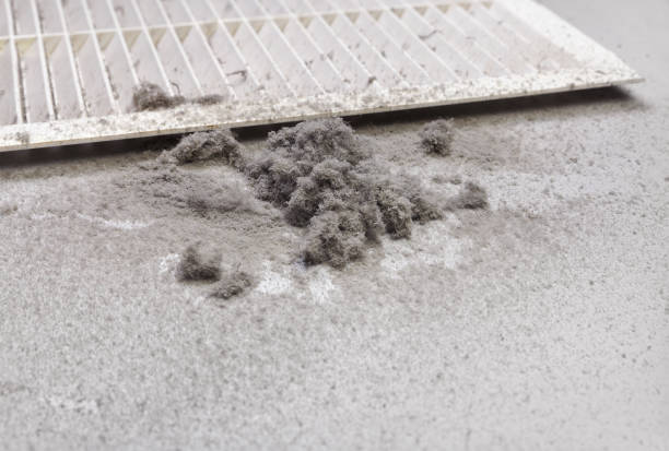 Best Air Duct Cleaning Cost  in Leland, NC