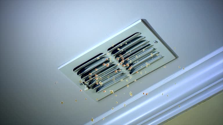 Best Air Duct Cleaning Near Me  in Leland, NC