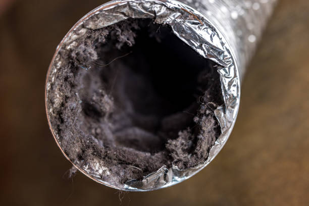 Best Ventilation Cleaning Services  in Leland, NC