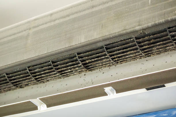 Best HVAC Air Duct Cleaning  in Leland, NC